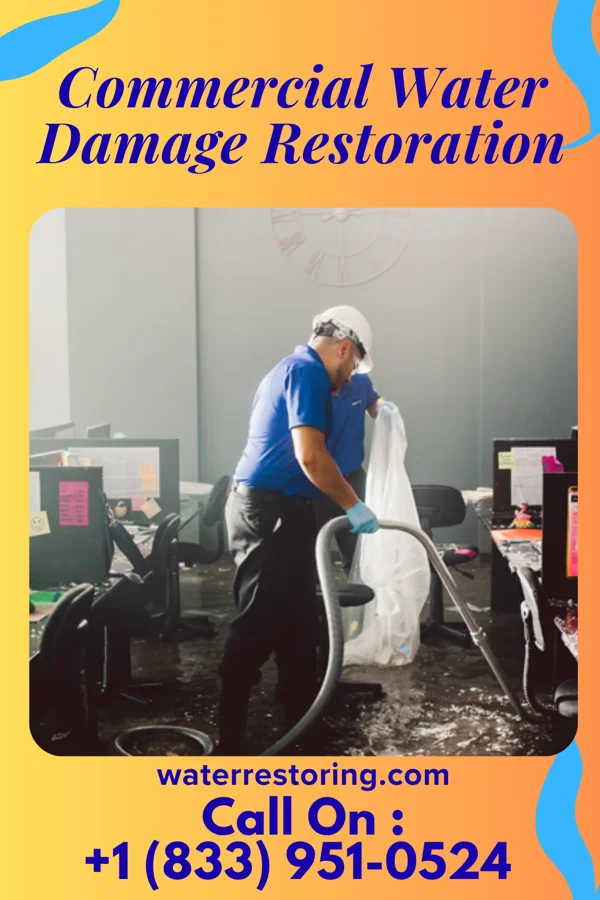 Commercial Water Damage Restoration in Oglesby, TX